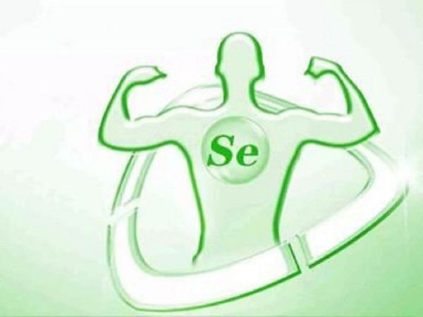 補充硒對調節(jié)免疫力的作用