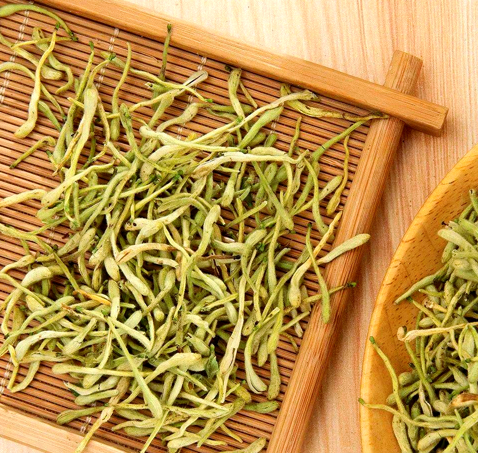 金銀花：清熱解毒的夏日守護者