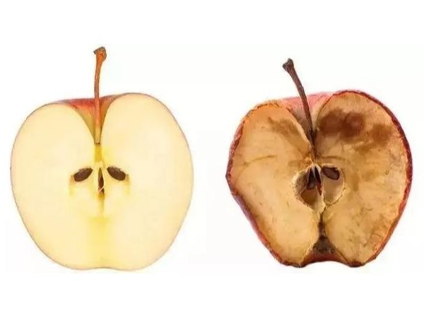 硒的抗氧化作用是怎么進行的呢？