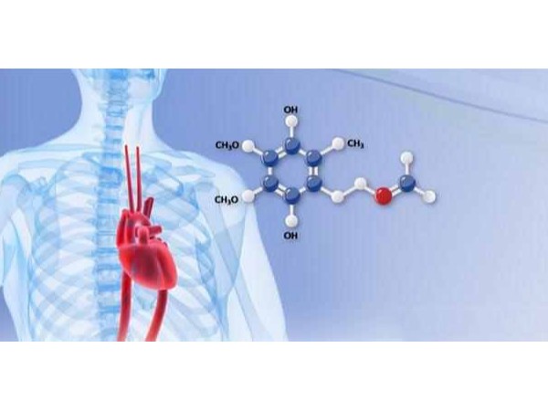 桂仁科普：輔酶Q10流失的原因是什么？