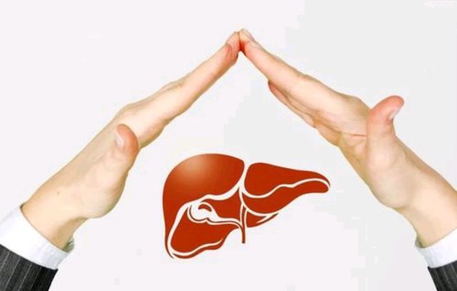 科學養肝全攻略