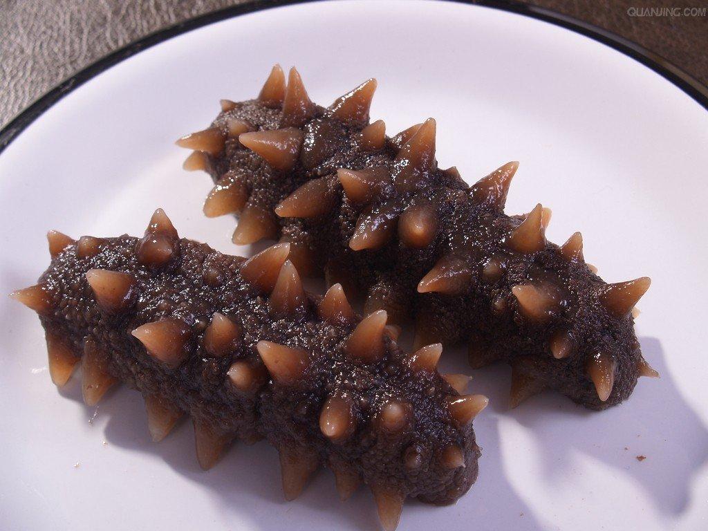 經(jīng)常吃海參對(duì)身體有什么好處？