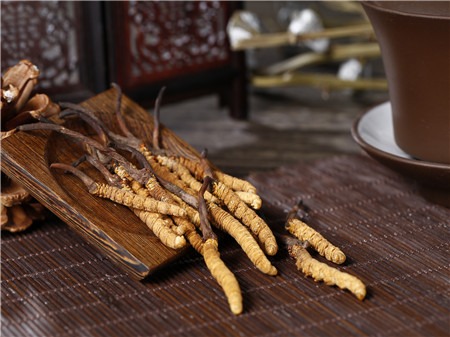 冬蟲(chóng)夏草有什么禁忌？