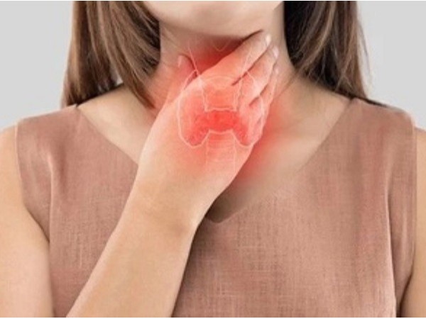 甲狀腺支持營養(yǎng)素——硒