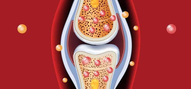 膠原蛋白對骨骼的作用