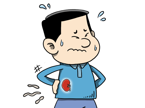 硒元素對人體“腎”的保護