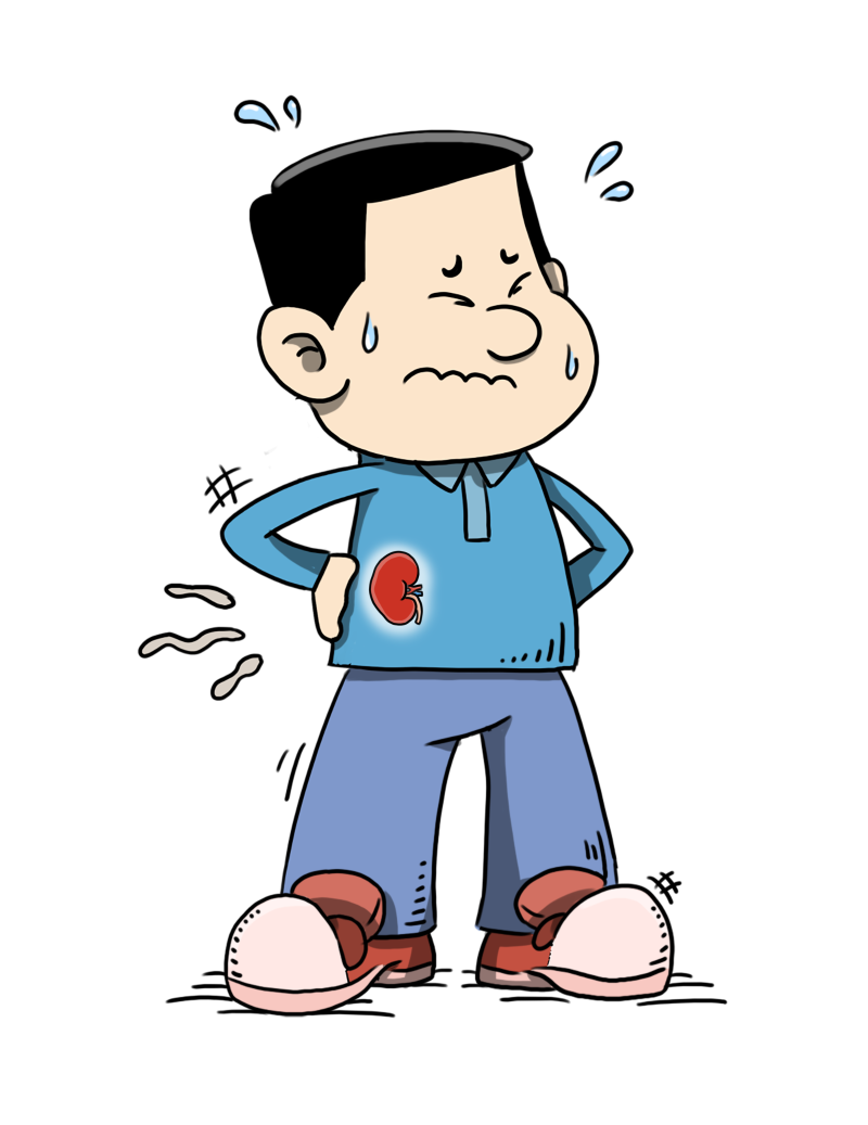 千庫網_男性腎虛腎氣不足_元素編號12889717