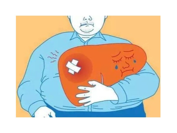 養肝五大訣竅，硒和五味子的那些秘密