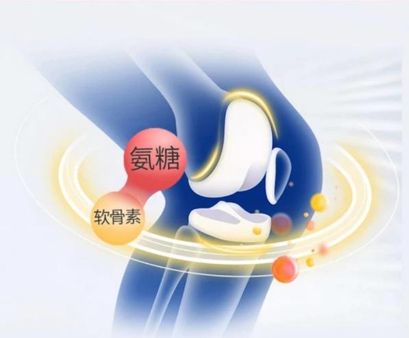 守護關節健康 揭秘氨糖軟骨素的作用