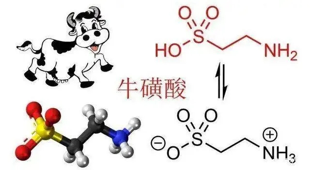 牛磺酸對(duì)人體的作用有哪些？