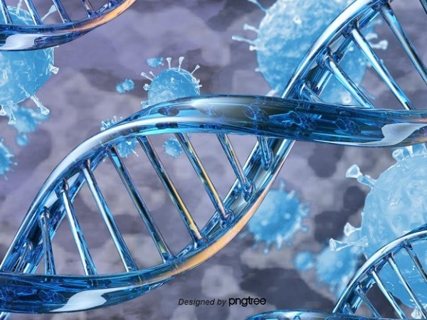 硒元素與人體器官的關(guān)系