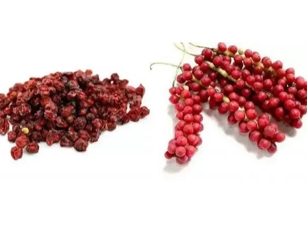 五臟氣補五味子