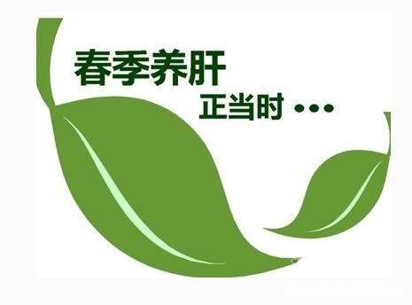 春季養生，試一試靈芝孢子粉