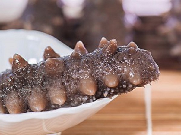 海參的營養價值都適合誰吃？