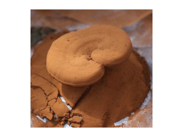 常熬夜的年輕人適合服用靈芝孢子粉嗎？