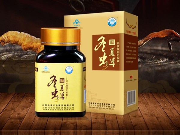 桂仁冬蟲夏草膠囊