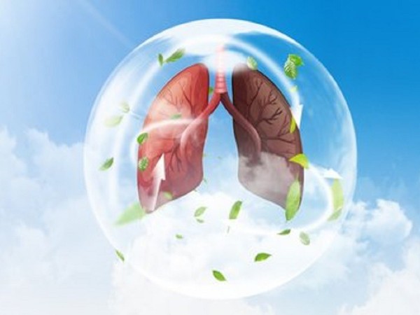 肺：我可能需要來一點硒補補！