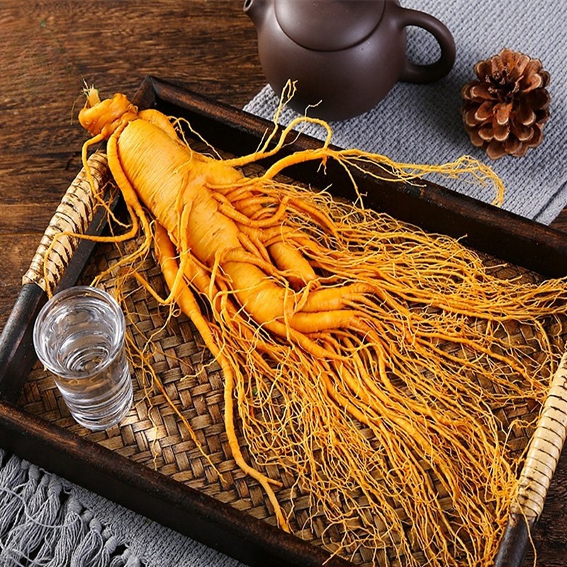 人參養生三百年