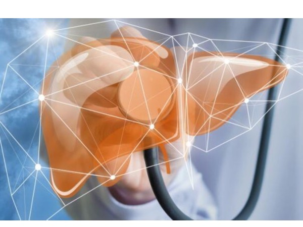 常補這些元素可以養肝排毒，還你一個干凈健康的肝