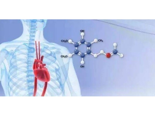 輔酶Q10：缺乏會對人體健康產生哪些影響？