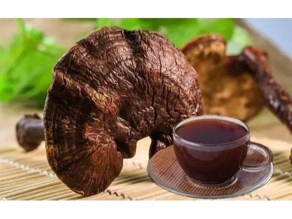 桂仁小課堂——靈芝孢子粉月經期間還能吃嗎？