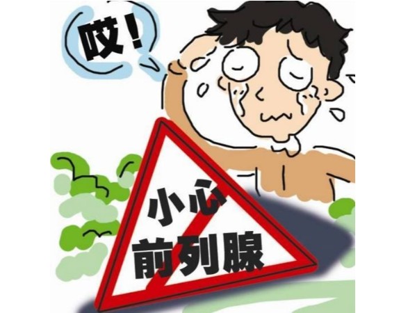 補(bǔ)硒科普 | 前列腺誰(shuí)都有，多了解才是最重要的